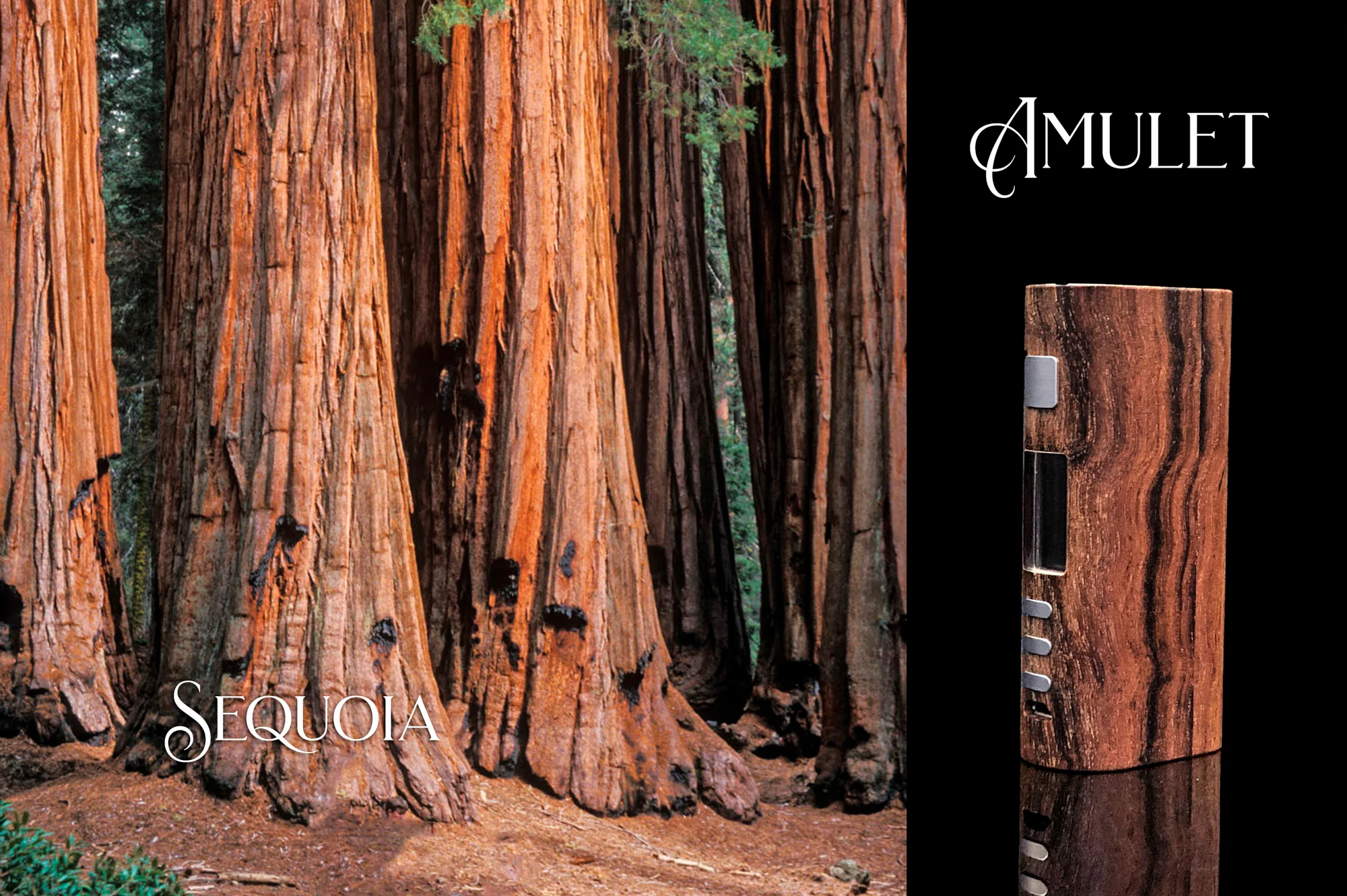 Amulet DNA75C - Image 9